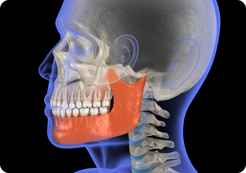 ronflement orthosaive orthodontie ronflement orthosaive orthodontie Mâchoire inférieure trop en arrière ou trop en avant Orthodontiste Altkirch | Dr Marie Saive & Dr Olivier Saive